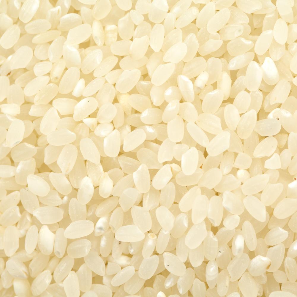 상품 샘플이미지