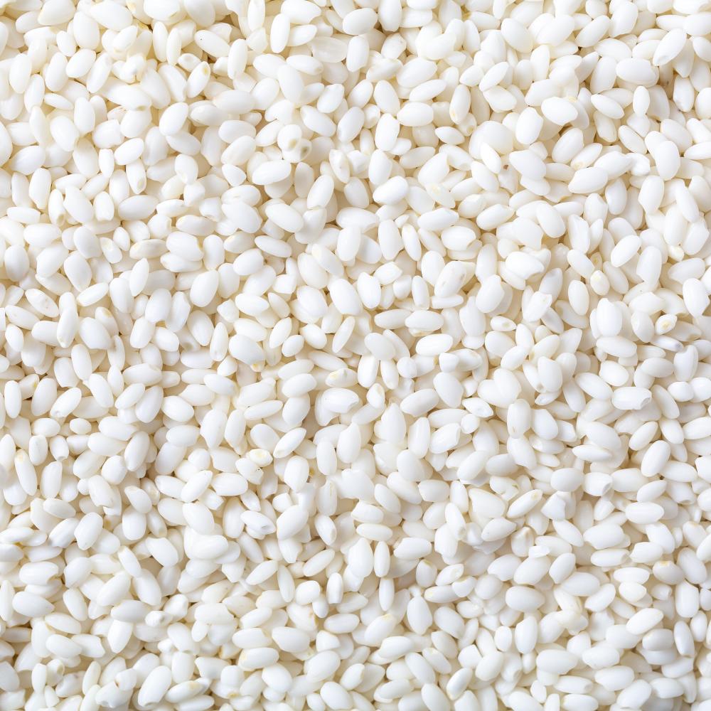 상품 샘플이미지