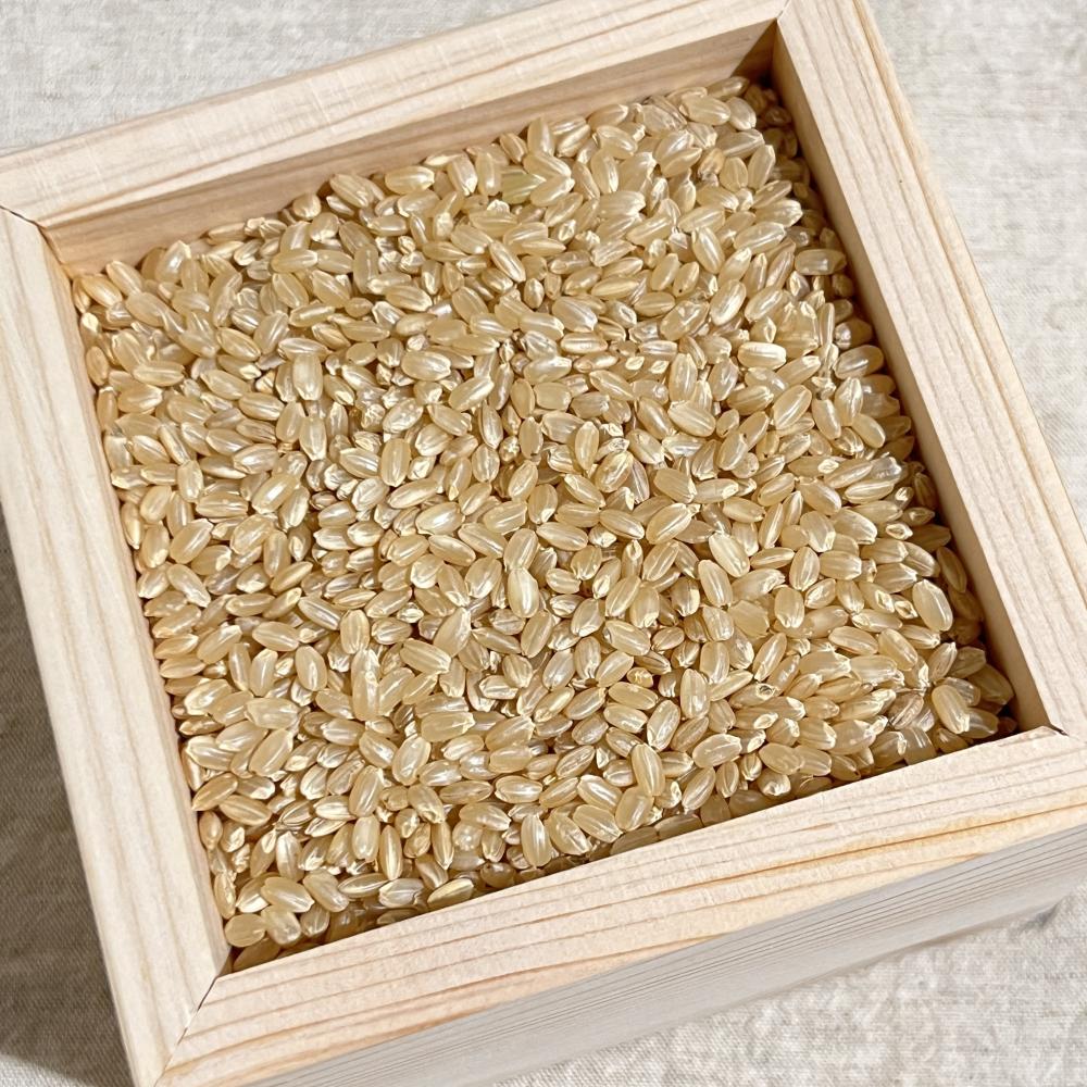 상품 샘플이미지