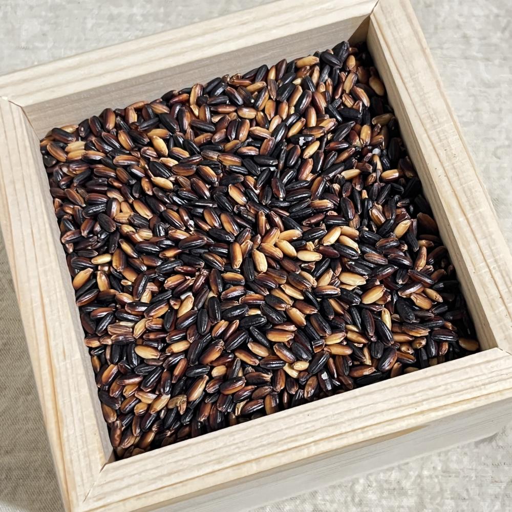 상품 샘플이미지