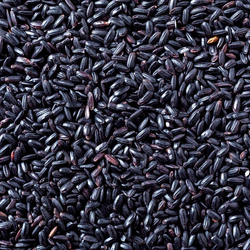 상품 샘플이미지