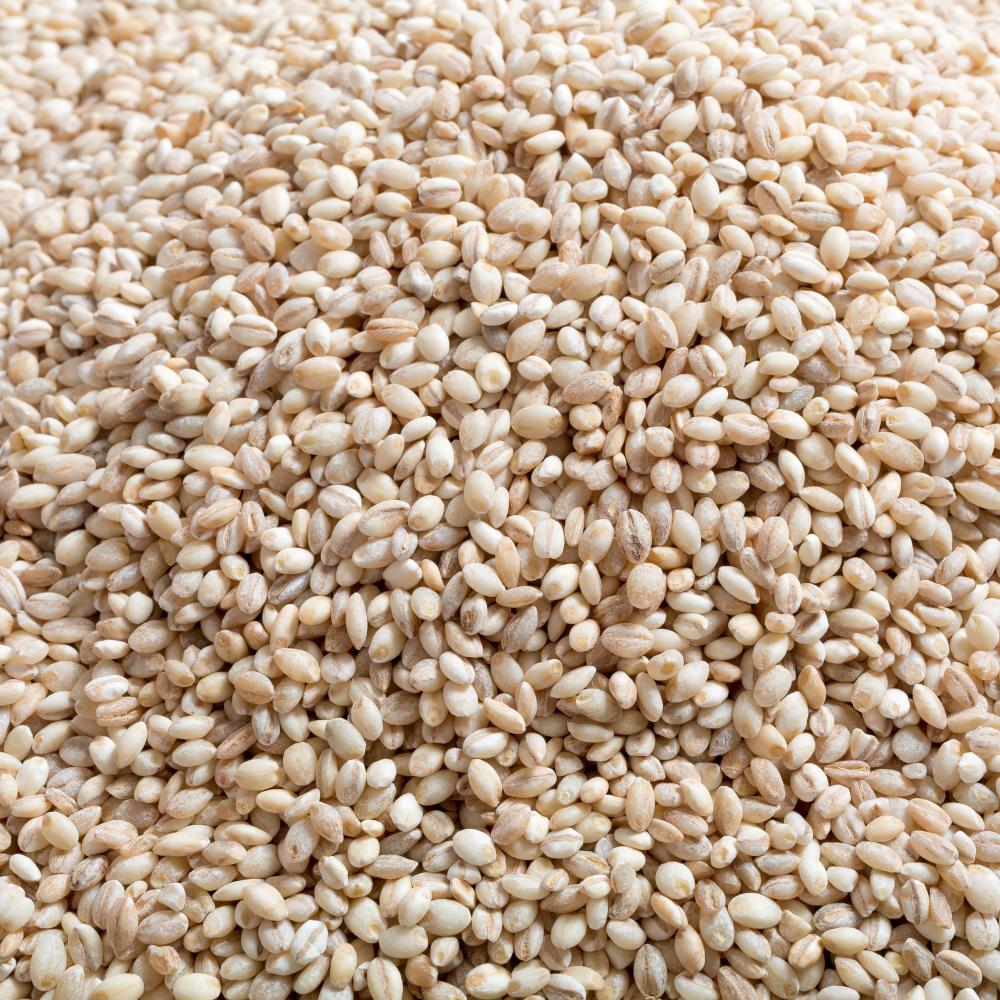 상품 샘플이미지