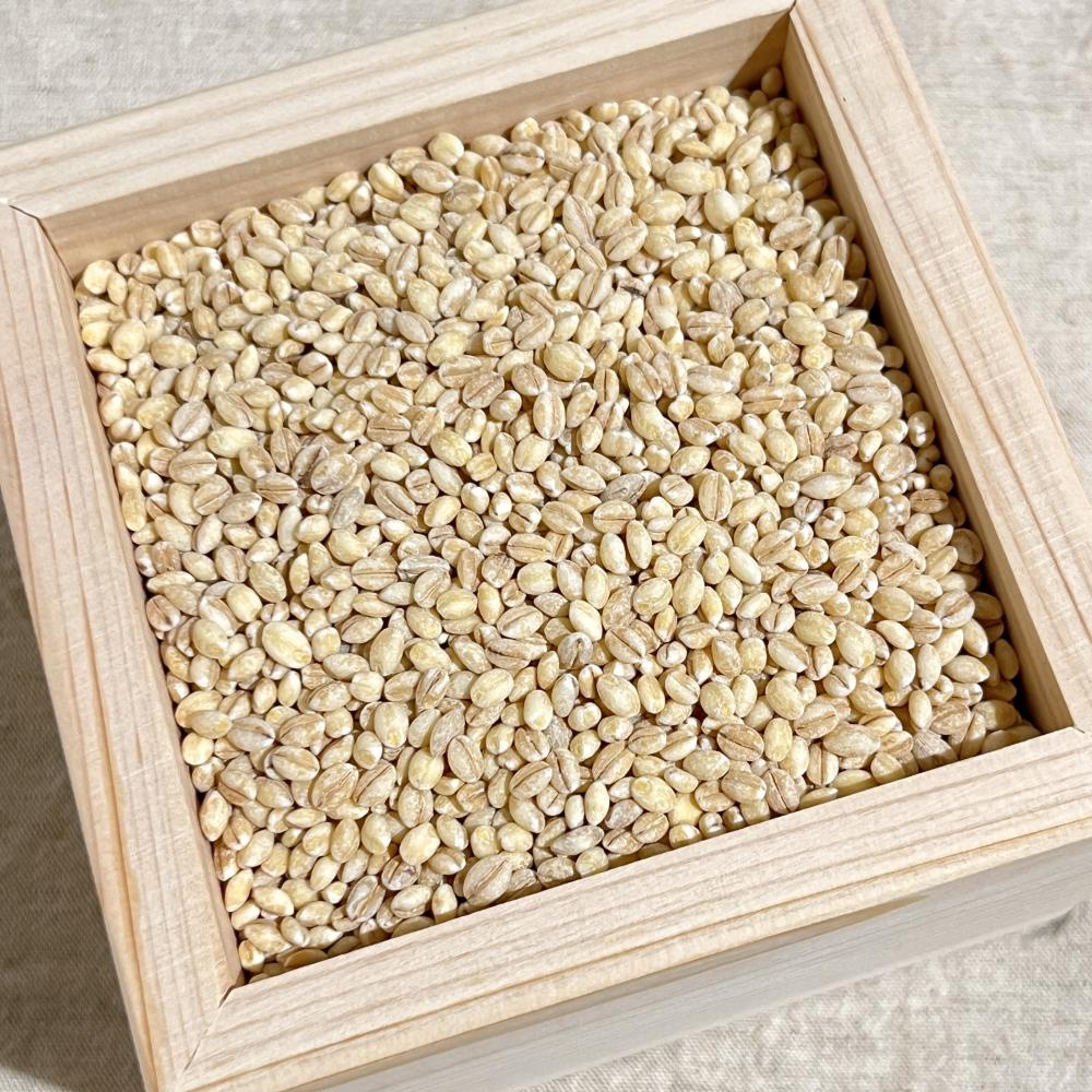 상품 샘플이미지