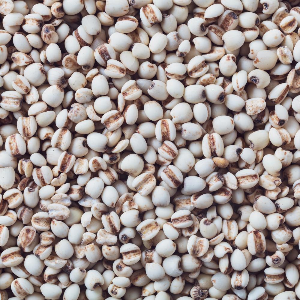 상품 샘플이미지