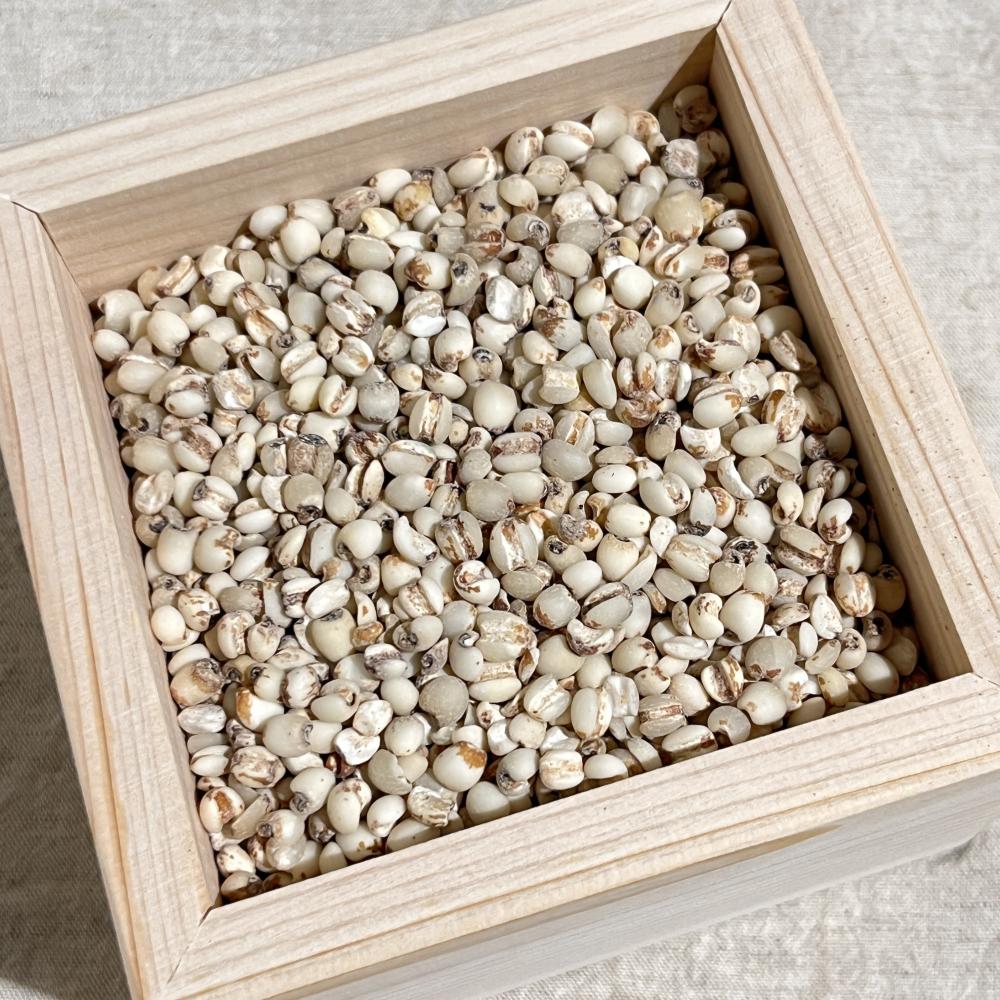 상품 샘플이미지