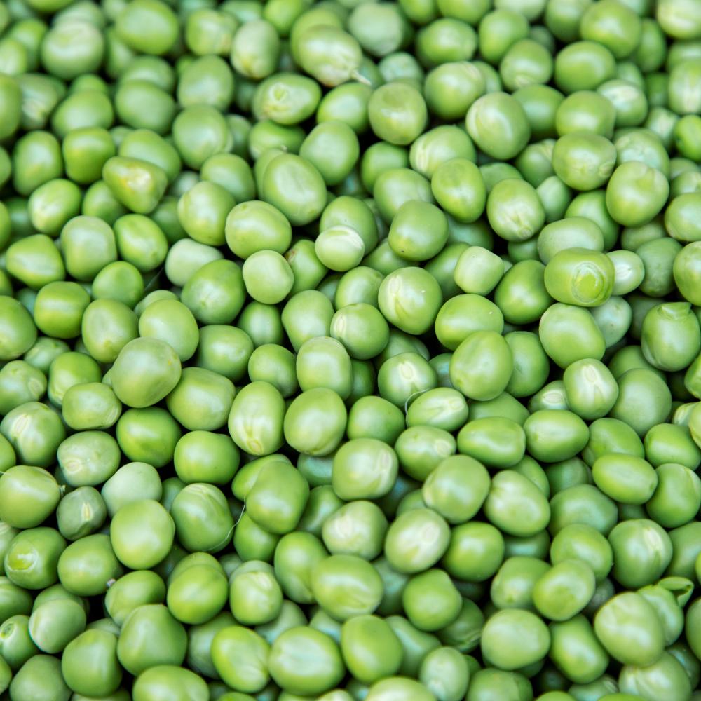 상품 샘플이미지