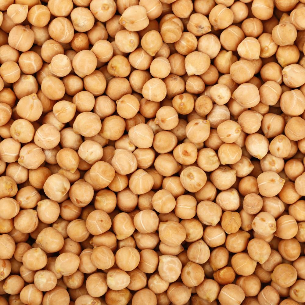 병아리콩 1kg