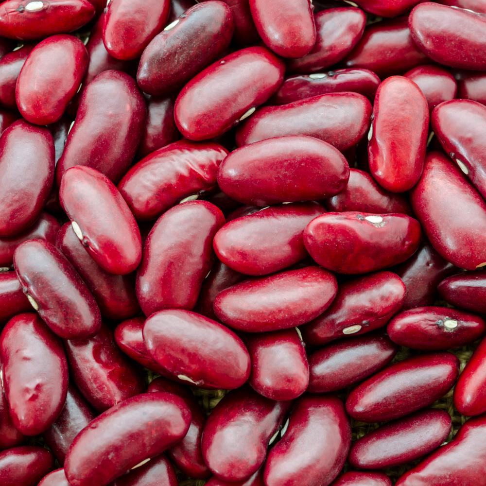 상품 샘플이미지