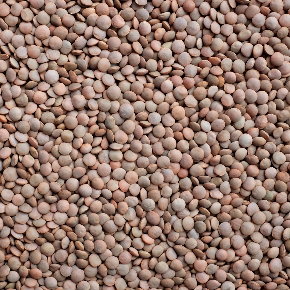 상품 샘플이미지