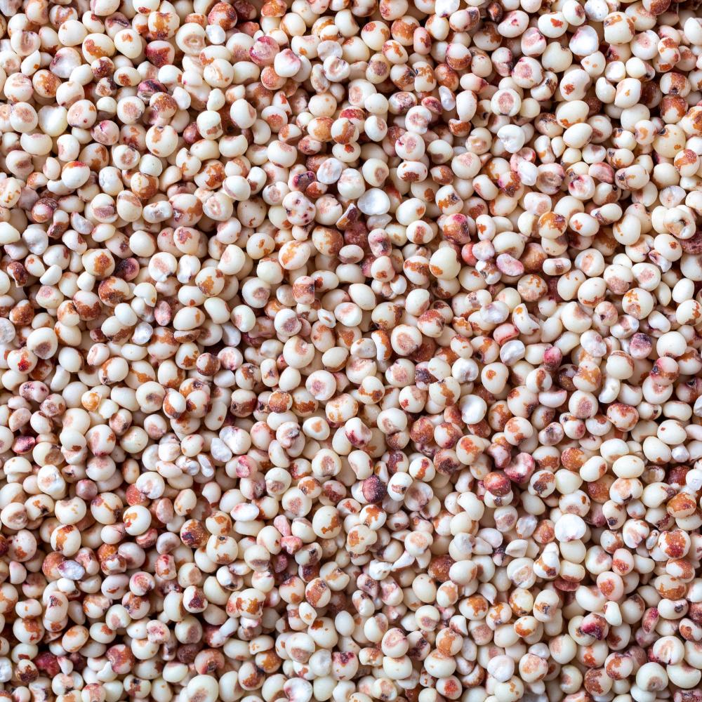 상품 샘플이미지