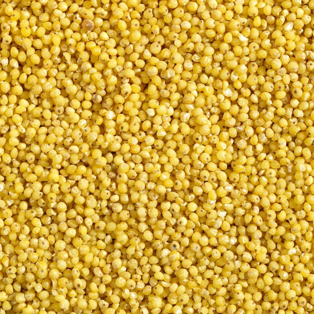 상품 샘플이미지