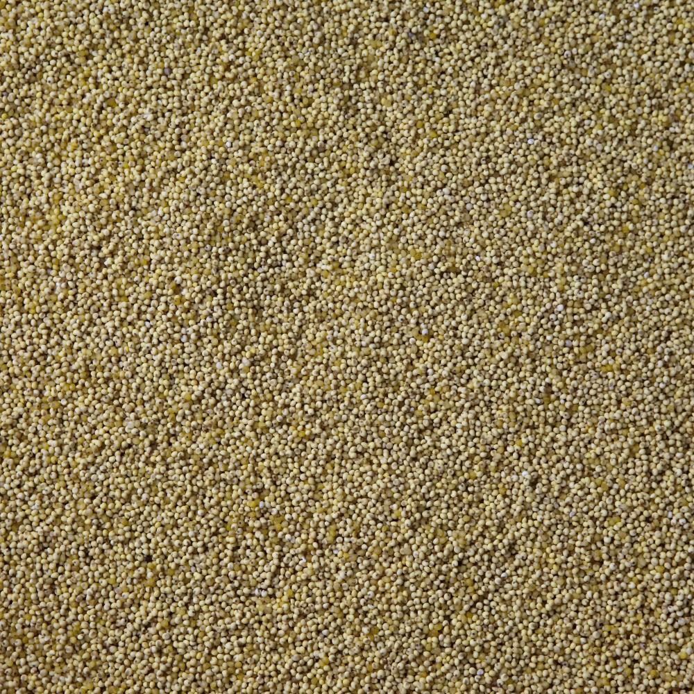 상품 샘플이미지