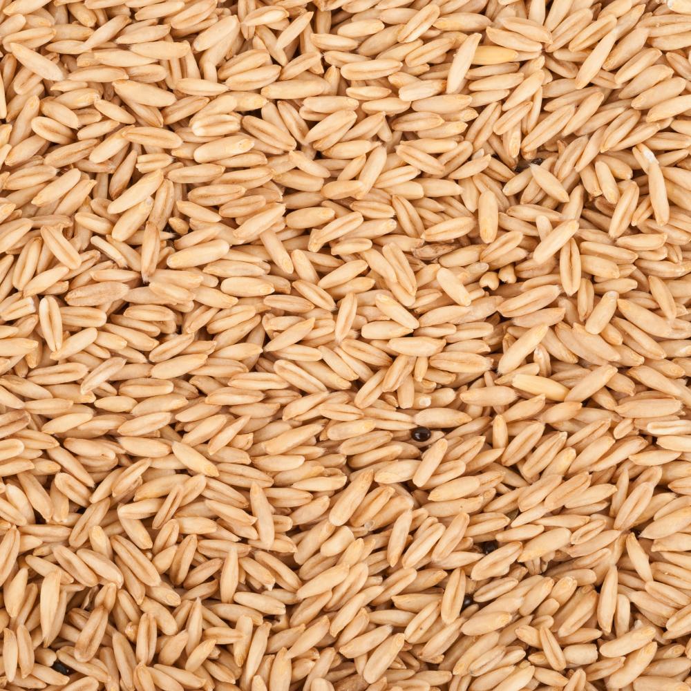 상품 샘플이미지