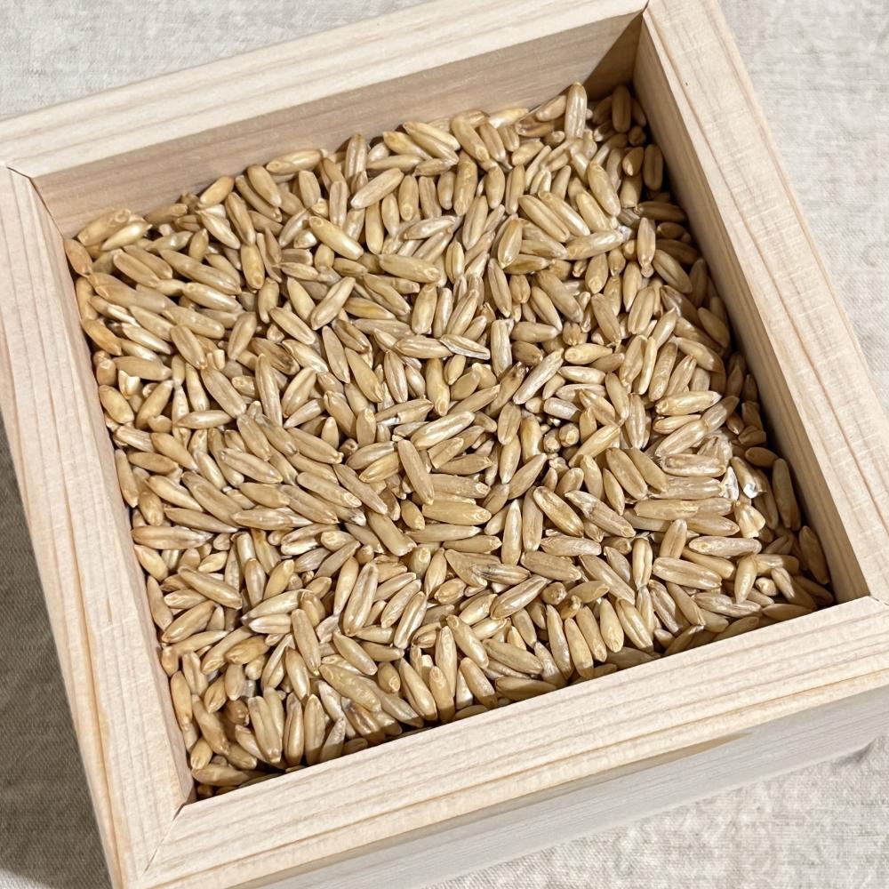 상품 샘플이미지