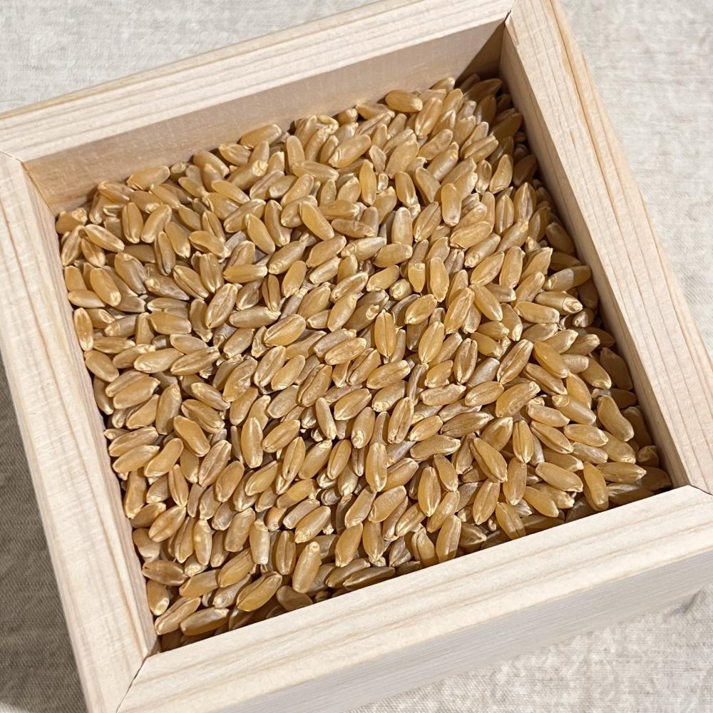 상품 샘플이미지