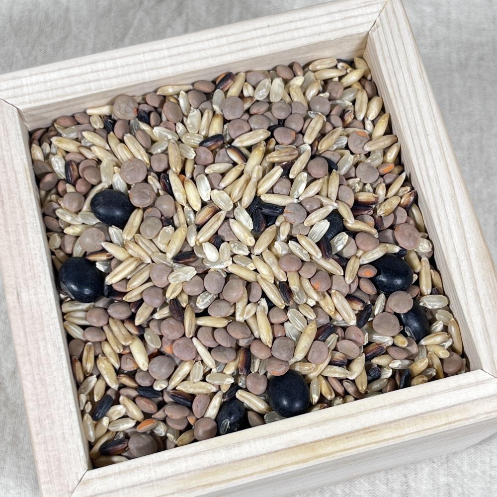 상품 샘플이미지