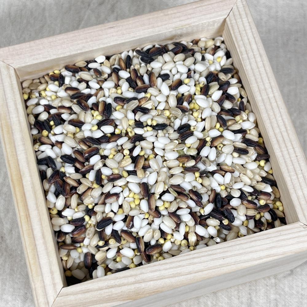 상품 샘플이미지